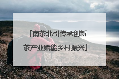 南茶北引传承创新 茶产业赋能乡村振兴