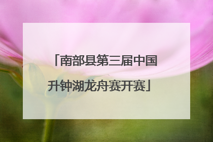 南部县第三届中国升钟湖龙舟赛开赛