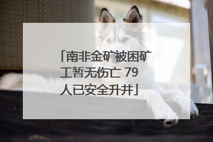 南非金矿被困矿工暂无伤亡 79人已安全升井