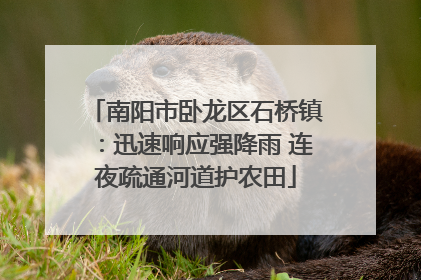 南阳市卧龙区石桥镇：迅速响应强降雨 连夜疏通河道护农田