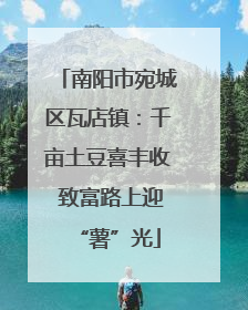 南阳市宛城区瓦店镇：千亩土豆喜丰收 致富路上迎“薯”光