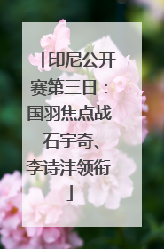 印尼公开赛第三日：国羽焦点战 石宇奇、李诗沣领衔