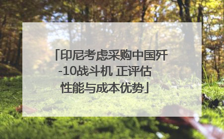 印尼考虑采购中国歼-10战斗机 正评估性能与成本优势