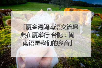厦金湾闽南语交流盛典在厦举行 台胞：闽南语是我们的乡音