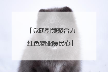 党建引领聚合力 红色物业暖民心