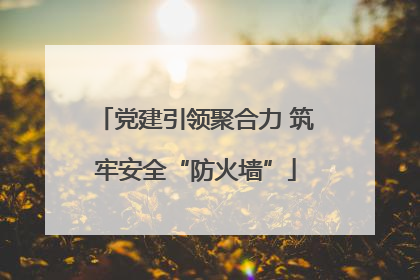 党建引领聚合力 筑牢安全“防火墙”