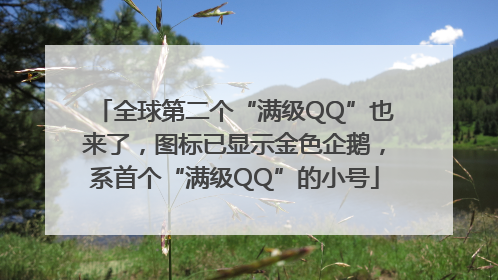 全球第二个“满级QQ”也来了，图标已显示金色企鹅，系首个“满级QQ”的小号