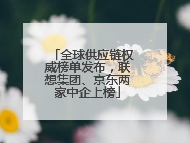 全球供应链权威榜单发布，联想集团、京东两家中企上榜