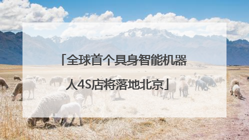 全球首个具身智能机器人4S店将落地北京