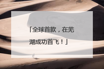 全球首款，在芜湖成功首飞！