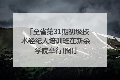 全省第31期初级技术经纪人培训班在新余学院举行(图)