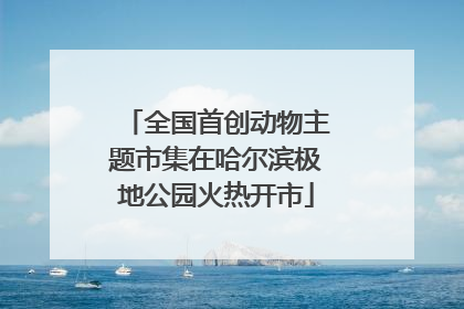 全国首创动物主题市集在哈尔滨极地公园火热开市