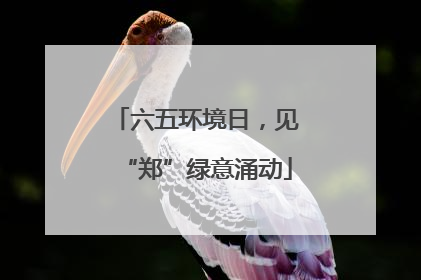六五环境日，见“郑”绿意涌动