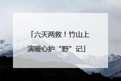 六天两救！竹山上演暖心护“野”记