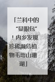 兰科中的“显眼包”！内乡发现珍稀濒危植物毛萼山珊瑚