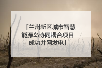 兰州新区城市智慧能源岛协同耦合项目成功并网发电