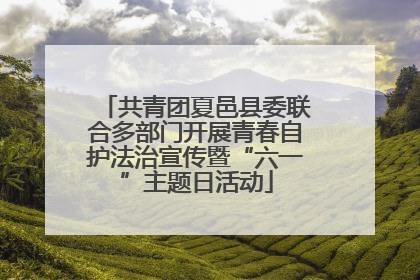 共青团夏邑县委联合多部门开展青春自护法治宣传暨“六一”主题日活动