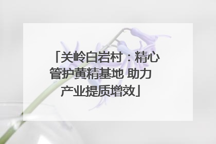 关岭白岩村：精心管护黄精基地 助力产业提质增效