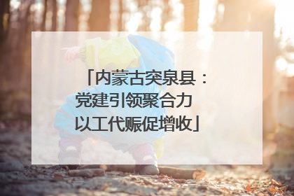 内蒙古突泉县：党建引领聚合力 以工代赈促增收