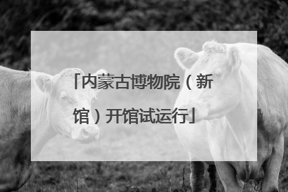 内蒙古博物院（新馆）开馆试运行