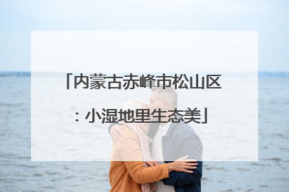内蒙古赤峰市松山区：小湿地里生态美
