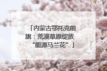 内蒙古鄂托克前旗：荒漠草原绽放“能源马兰花”