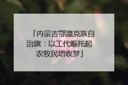 内蒙古鄂温克族自治旗：以工代赈托起农牧民增收梦