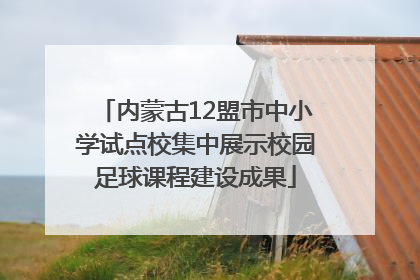 内蒙古12盟市中小学试点校集中展示校园足球课程建设成果