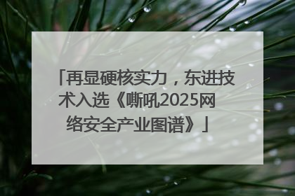 再显硬核实力，东进技术入选《嘶吼2025网络安全产业图谱》