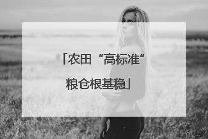 农田“高标准” 粮仓根基稳