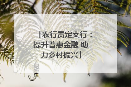 农行贵定支行：提升普惠金融 助力乡村振兴