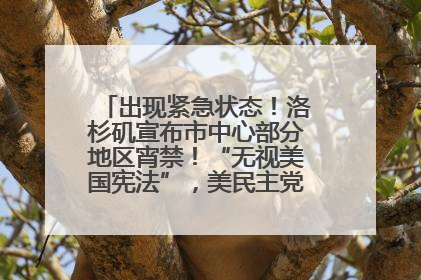 出现紧急状态！洛杉矶宣布市中心部分地区宵禁！“无视美国宪法”，美民主党议员批评特朗普