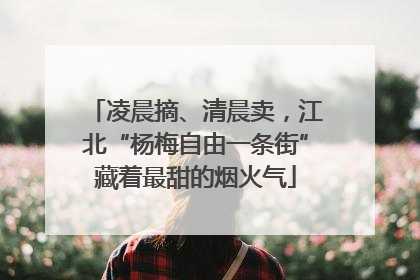 凌晨摘、清晨卖，江北“杨梅自由一条街”藏着最甜的烟火气