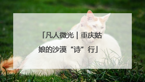凡人微光｜重庆姑娘的沙漠“诗”行