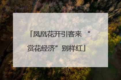 凤凰花开引客来 “赏花经济”别样红