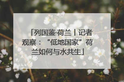 列国鉴·荷兰丨记者观察：“低地国家”荷兰如何与水共生