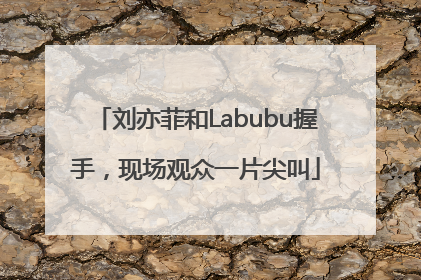 刘亦菲和Labubu握手，现场观众一片尖叫