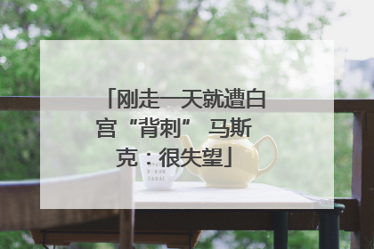 刚走一天就遭白宫“背刺” 马斯克：很失望
