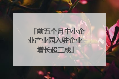 前五个月中小企业产业园入驻企业增长超三成