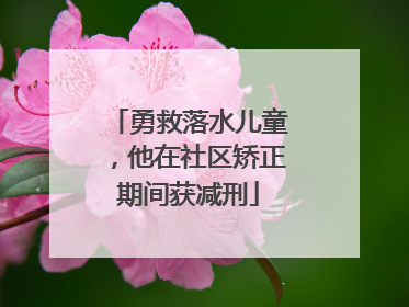 勇救落水儿童，他在社区矫正期间获减刑
