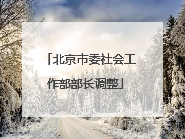北京市委社会工作部部长调整
