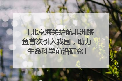 北京海关护航非洲鳉鱼首次引入我国，助力生命科学前沿研究