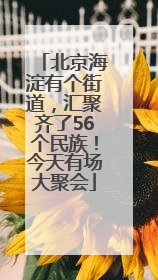 北京海淀有个街道，汇聚齐了56个民族！今天有场大聚会
