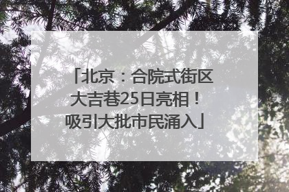 北京：合院式街区大吉巷25日亮相！吸引大批市民涌入