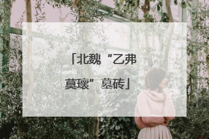 北魏“乙弗莫瓌”墓砖