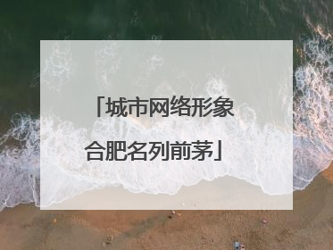 城市网络形象合肥名列前茅