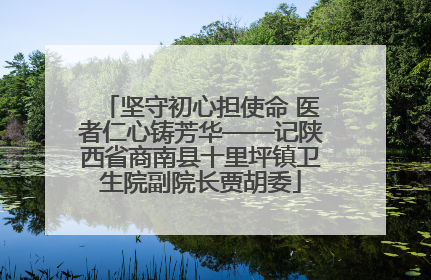坚守初心担使命 医者仁心铸芳华——记陕西省商南县十里坪镇卫生院副院长贾胡委