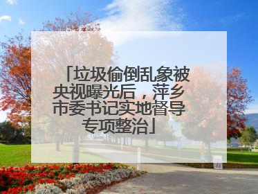 垃圾偷倒乱象被央视曝光后，萍乡市委书记实地督导专项整治