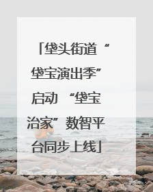 垡头街道“垡宝演出季”启动 “垡宝治家”数智平台同步上线