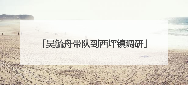 吴毓舟带队到西坪镇调研